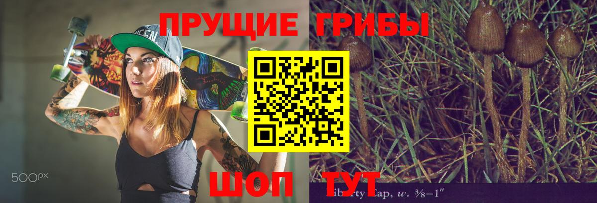 Псилоцибиновые грибы Psilocybine cubensis  Вход с VPN  Зеленогорск 