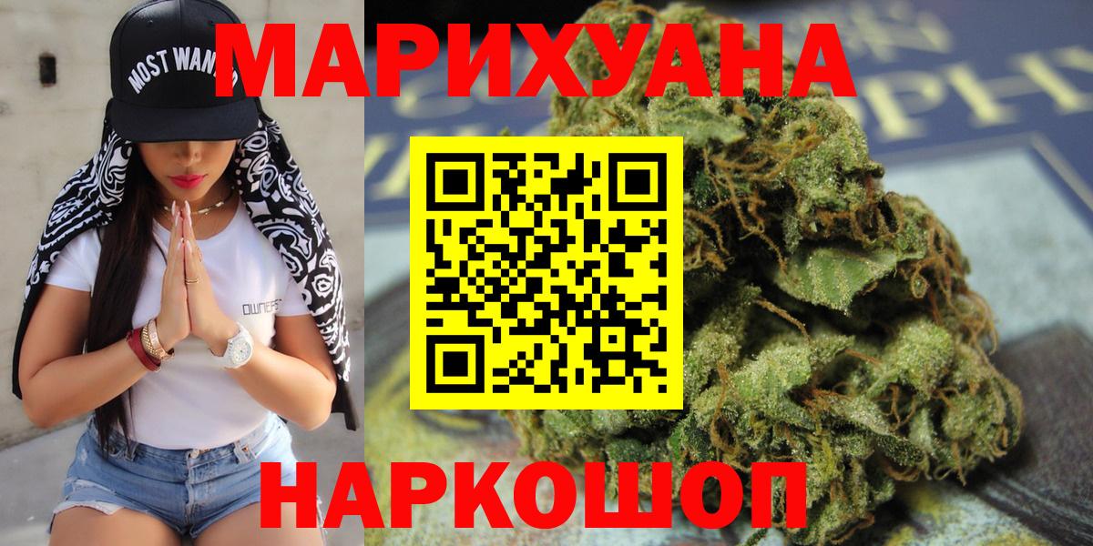 Конопля сатива Зеленогорск